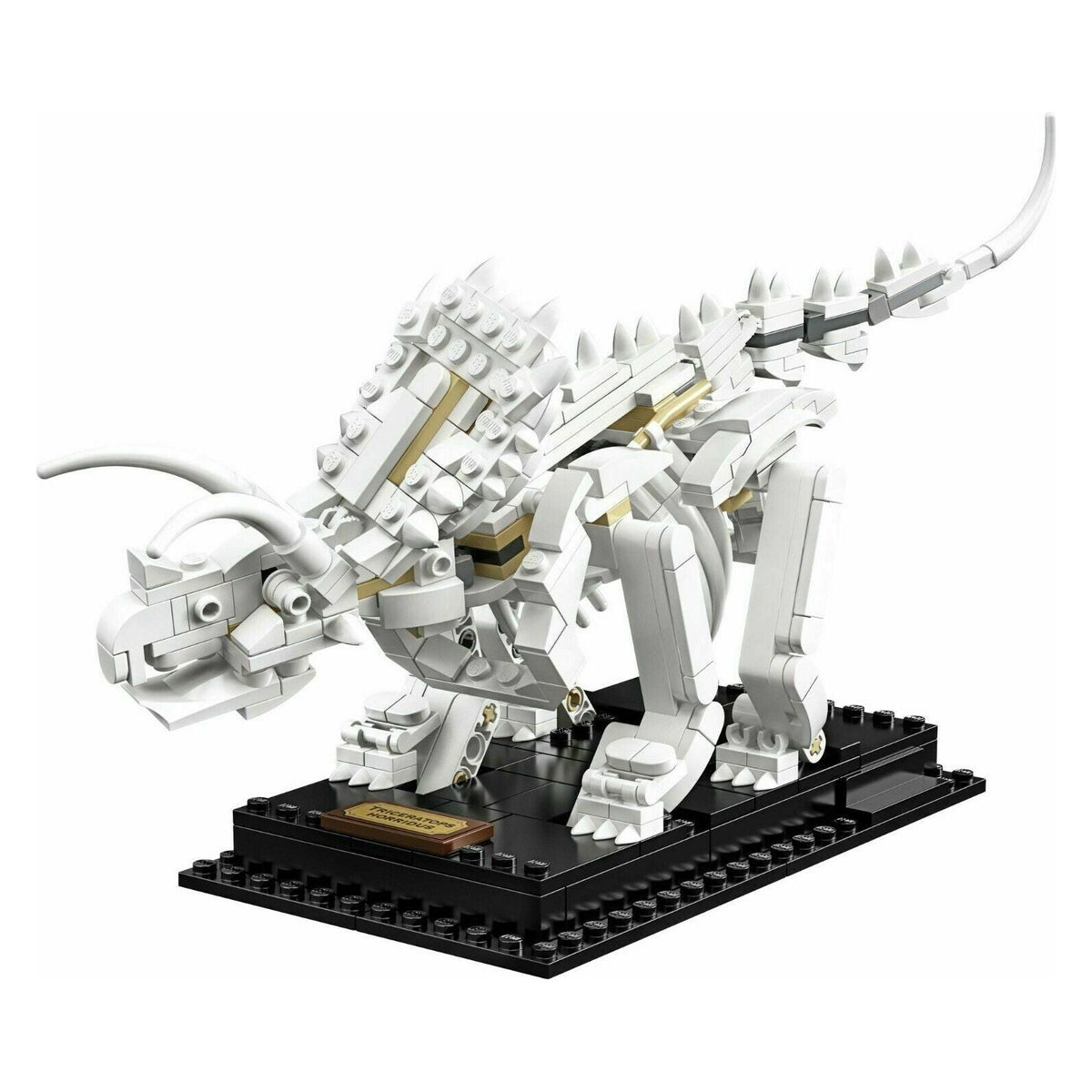 Lego Ideas Dinosaur Fossils 21320
