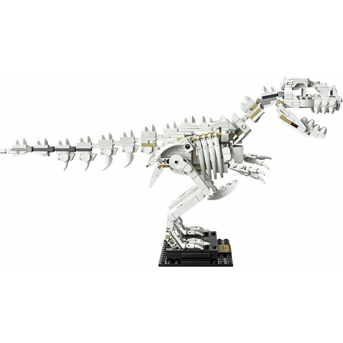 Lego Ideas Dinosaur Fossils 21320